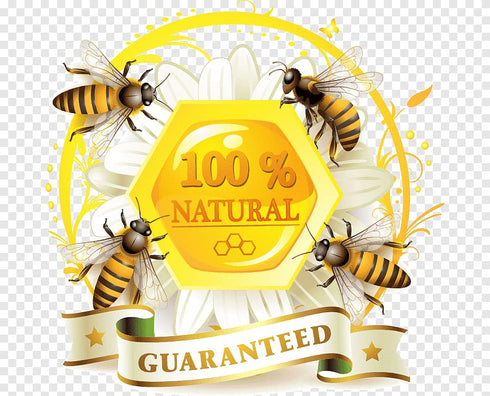 500g/1.1lbs Airborne (New Zealand) Multifloral Honey