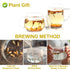 Plant Gift 2.82oz/80g Dried Bergamot Flower No Additives, Sulfur Free, Chinese Dried Herbs Angelica Sinensis Dong Quai