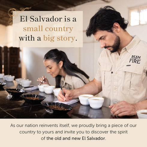 (16 oz) Bean of Fire El Salvador Pacamara Honey Ground Coffee Medium Roast, Single Origin Specialty, Creamy & Nutty Cup