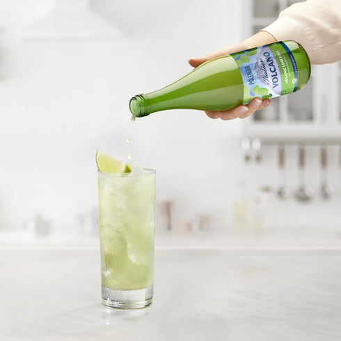 16.9 POLENGHI Organic Lime Juice, FZ