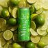 12 (12 -pack 12 oz Mingle Mocktails Non Alcoholic Cocktails | Mingle Key Lime Margarita cans of fl cans)
