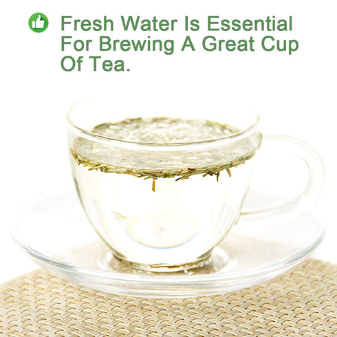 Plant Gift 100% 50G/1.76oz Natural Rosemary Tea Loose Leaf, Rosemary Seasoning, Rosemary Leaves Natural Rosemary Dried