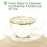 Plant Gift 100% 50G/1.76oz Natural Rosemary Tea Loose Leaf, Rosemary Seasoning, Rosemary Leaves Natural Rosemary Dried