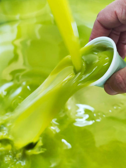 OILALA 2024/25 (500ml) Extra Virgin Olive oil Peranzana, Harvest! Low Acidity, Italian, Italy, Family Farm, Delicate