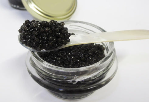 (1 (28 Bowfin Caviar - Choupique Roe - Wild American ounce grams))