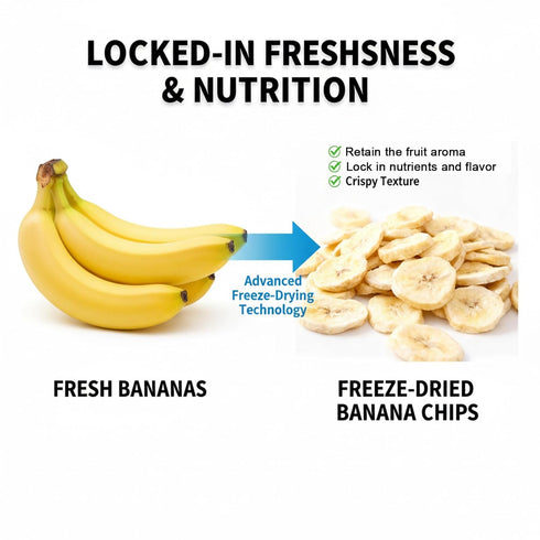 DYBOEDYO 8.81 Oz Freeze-Dried Banana Slices, | Crispy,Freeze-Dried Fruit Snack | Resealable Jar for Pantry Storage |
