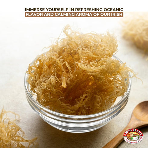 2 Lbs Angel Brand Irish Sea Moss Pouch - Nutrient-Rich Sea Vegetable Harvested from Clean Ocean Waters - Irish Sea Moss