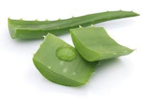 Fresh Produce Aloe Vera Leaves, 1 Ct.