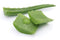 Fresh Produce Aloe Vera Leaves, 1 Ct.