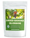 HOLFLYING Natural Dried Banana Blossom - 2.0 oz, All-Natural Banana Flowers, No Additives,