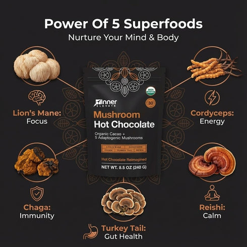 5 (30 Inner Elevate Mushroom Hot Chocolate Superfood - Ceremonial Cacao with Mushrooms (Lion's Mane, Cordyceps, Chaga