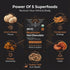 5 (30 Inner Elevate Mushroom Hot Chocolate Superfood - Ceremonial Cacao with Mushrooms (Lion's Mane, Cordyceps, Chaga