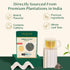 170+ (12oz) VAHDAM, Green Tea Leaves From Himalayas Cups High Elevation Grown Green Tea Leaves From Himalayas | Pure