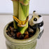 Generic (2PK Coop & Harp Small Lucky Bamboo Live Indoor Plant with Ceramic Vase, Live Indoor Lucky Bamboo for Home