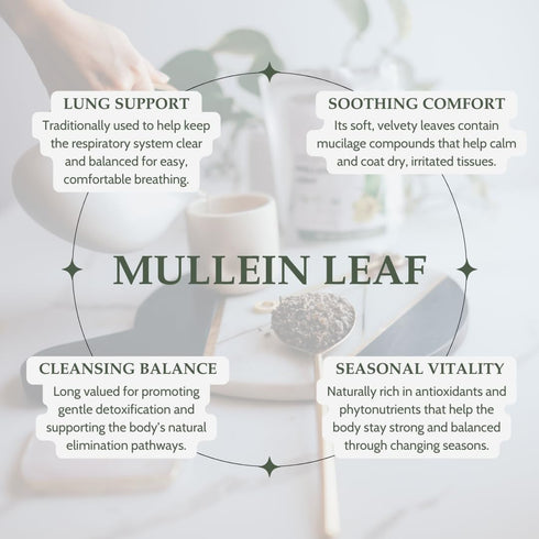 2 oz. (57g), Elanen Naturals Organic Mullein Leaf USDA Certified Organic Mullein Leaf Tea, Mullen Leaves, Mullin Leaf