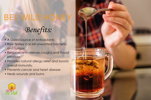 Bee Wild 100% Gallberry, 3 Pure Raw Organic Unfiltered Honey - ounce