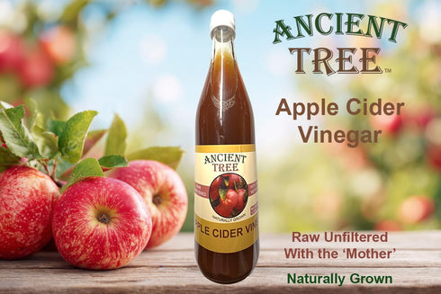 500 ML Ancient Tree Apple Cider Vinegar With "The Mother" Imported Lebanon