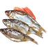 Generic Dried Salted Taranka Fish (Jerky) With Caviar Premium Quality