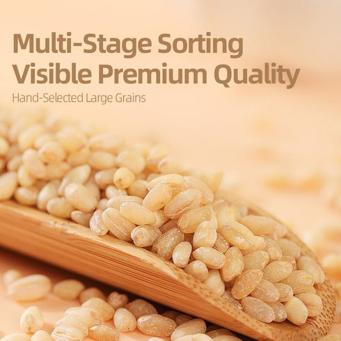 1000g 35.27oz Pearl Wheat | / | PoetrySeptember Hulled Wheat Kernels Germ-Retained for Added Nutrition, Ideal
