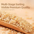 1000g 35.27oz Pearl Wheat | / | PoetrySeptember Hulled Wheat Kernels Germ-Retained for Added Nutrition, Ideal