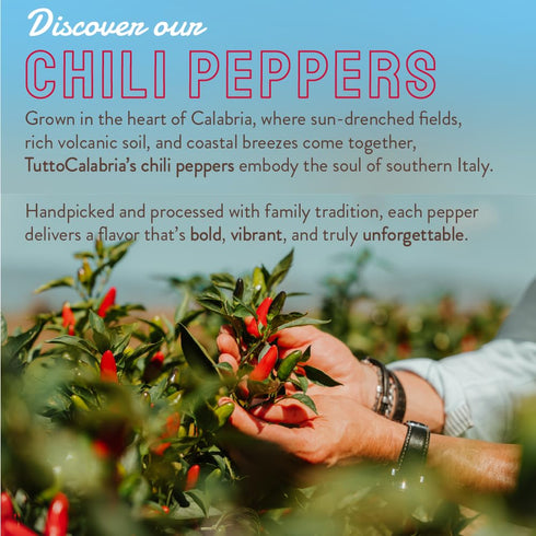 10oz (285g), TUTTOCALABRIA, Crushed Calabrian Chili Peppers, Spicy Condiment with Calabrian Chili Peppers, Extra Virgin