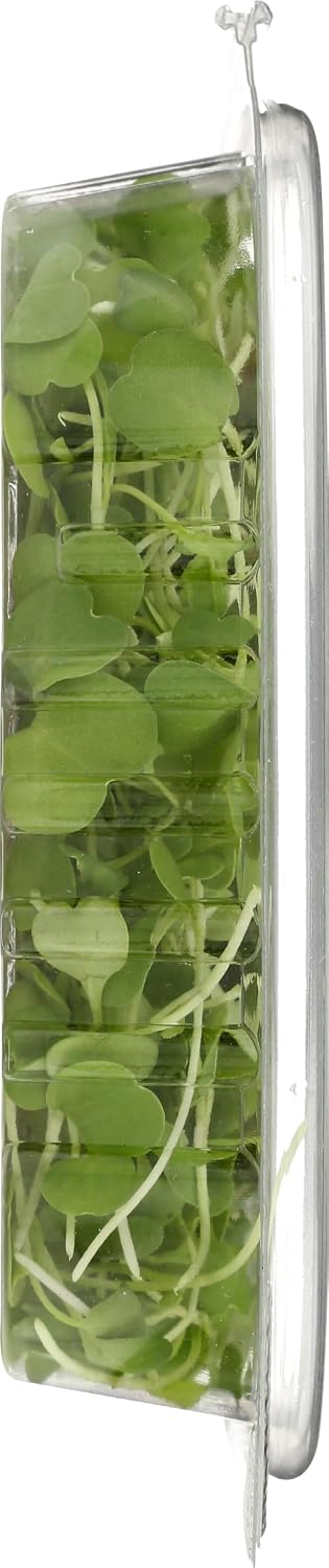 Fresh Produce 1.5 OZ FARMING TURTLES INC Organic Microgreens Arugula