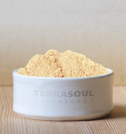Terrasoul Superfoods Organic Ginger Powder, 2 Lbs (2 Pack) - Lab-Tested Raw Potent Flavor