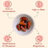 48oz (3 lbs) ORGANIC Pitted Dates (Deglet Nour) - Sunny Fruit Bulk Bag | NO Added Sugars, Sulfurs or Preservatives |