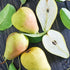 Signature Orchard Gift Box from Capital City Fruit