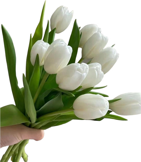 20 Next day delivery White Tulips Fresh Cut Flowers Wheat Field Bouquet Gifts for home decoration birthdays friendship