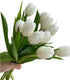 20 Next day delivery White Tulips Fresh Cut Flowers Wheat Field Bouquet Gifts for home decoration birthdays friendship