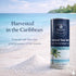 100% (9 oz) Gourmet Fine Sea Salt Caribbean Sea Salt, Natural & Unrefined, Naturally Mineral-Balanced, Fine Grain Table
