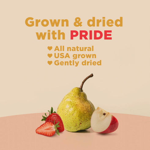 3 oz 6 Pack RIND Snacks | Straw-Peary | Strawberry, Apple, & Pear | Dried Fruit Superfood | Chewy Snack | No Sugar