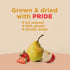 3 oz 6 Pack RIND Snacks | Straw-Peary | Strawberry, Apple, & Pear | Dried Fruit Superfood | Chewy Snack | No Sugar