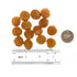 4S 8oz 1 packages Scallop Dried Japanese Scallops Nippon no hoshi moto kai // box Order by mail from USA