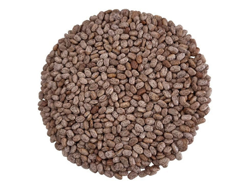 Generic Premium Pinto Beans Whole Dried Product of Canada | 5lb.