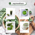 Generic (Pack 2) 100g of Organic Kale Powder Pouches Pure & Natural Superfood for Smoothies & Shakes Rich in Vitamins