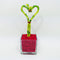 Athena's Garden Heart Shape Lucky Bamboo Plant Live Indoor Plant in Glass