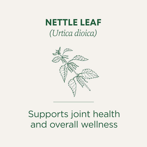 by Traditional Medicinals 16 (Pack 6) Traditional Medicinals Organic Nettle Herbal Leaf Tea, Tea Bags