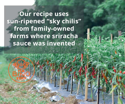 Mr. Bing Sriracha Chili Sauce, 18oz - Made with Thai Chilis, Perfect for Sauces and Marinades