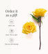 24 BloomsyBox - Yellow Roses - Long Stems,Long Lasting, Hand-Tied in Eco-friendly,Vase Not Included, Fresh Flowers