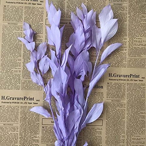 Artist Unknown 5PCS/35-40CM Zamihalaa Natural Dried Orange Leaves Preserved Lily Flowers Bouquet,Dracaena Reflexa