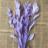 Artist Unknown 5PCS/35-40CM Zamihalaa Natural Dried Orange Leaves Preserved Lily Flowers Bouquet,Dracaena Reflexa