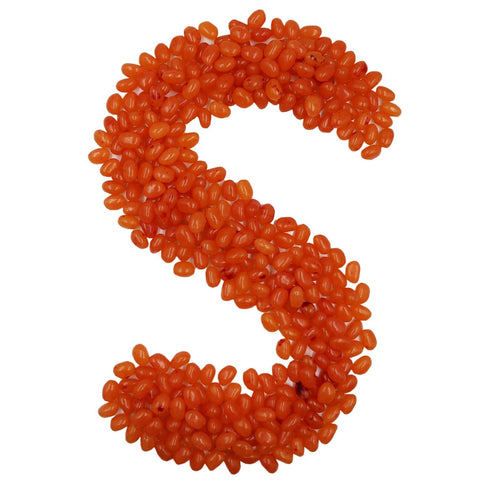 Smarty Stop (5 (Pack 1), Jelly Beans Every Flavor Candy Pound of Mango)