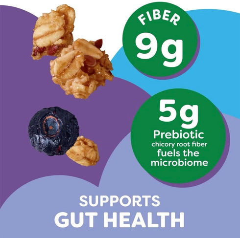 Blueberry Almond Kashi Granola for Gut Health