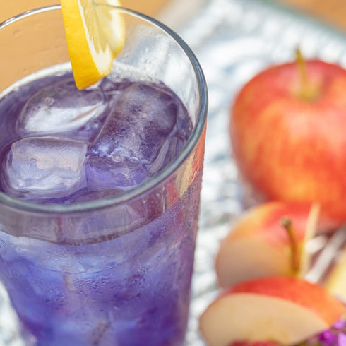 2-quart Harney Fresh Brew Iced Tea Indigo Punch, Butterfly Pea Flower, Three bags