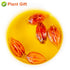 Plant Gift 3.52oz/100g Dried Gardenia Fruit/Cape jasmine/Natural Herb Tea/Gardenia jasminoides Ellis/ Chinese Herbal
