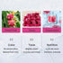 3.52oz/100g 1 (Pack 1) Mkostlich Freeze-dried Dragon Fruit, Diced Dragon Fruit with Ingredients, No Sugar Added