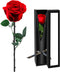 Preserved Flowers for Delivery,Red Rose Bouquets That Last 5 Years,Birthday Flowers Gifts