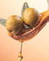 Al Wazir 16.9 OZ (500ml) Olive Oil FL Low Acidity Balanced Flavor for Cooking Dressing Dipping High Virgin Oil Ratio